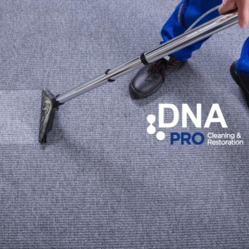 Professional Carpet Cleaning Oakton Va 1